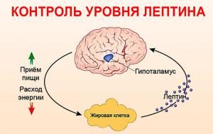 НАУКА