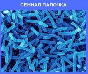 НАУКА
