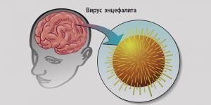 НАУКА