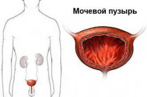 НАУКА